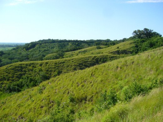 686478 (a): :1600x1200